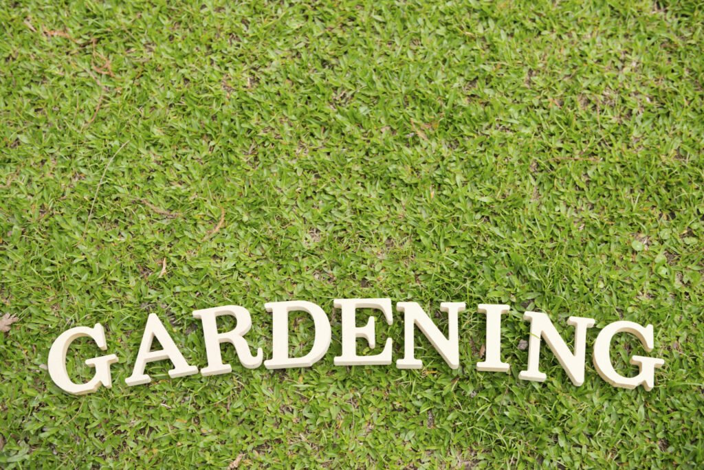 Elevate Your Lawn With Our Holistic Lawncare Services