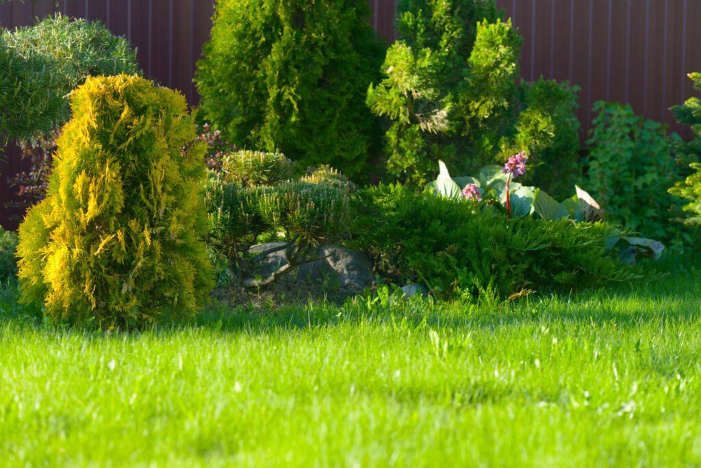 Crafting a Beautiful Landscape with Revamping Lawns