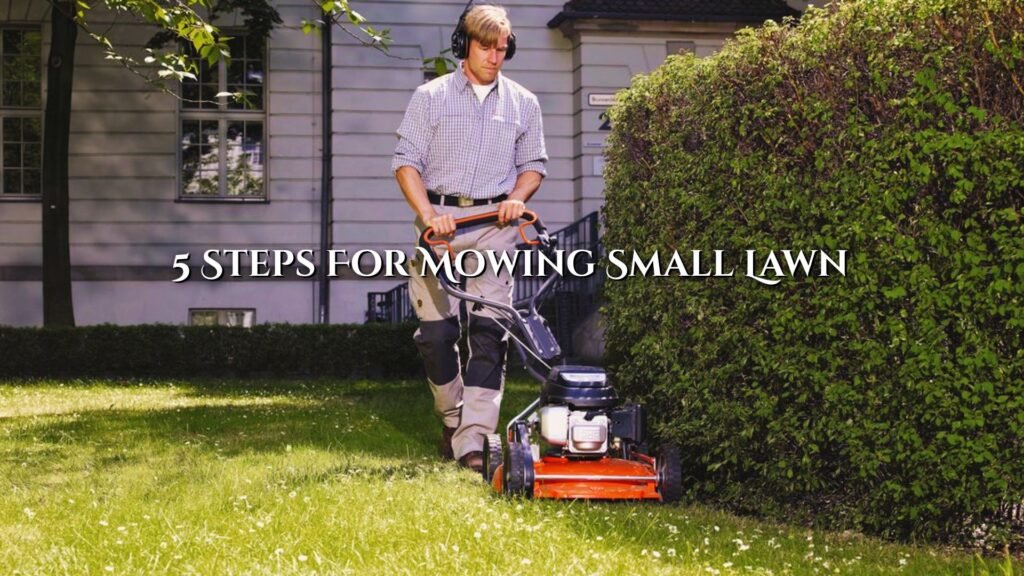 5 Steps For Mowing Small Lawn