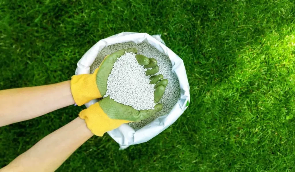 Homemade Lawn Fertilizer