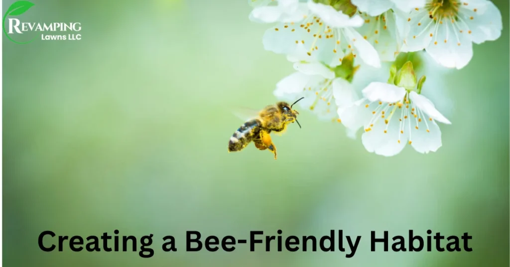 Creating a Bee-Friendly Habitat