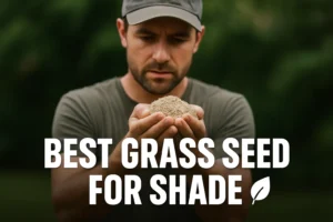 best grass seed for shade