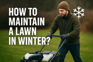 how to maintain a lawn in winter (1)