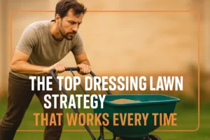 the top dressing lawn strategy that works everytime