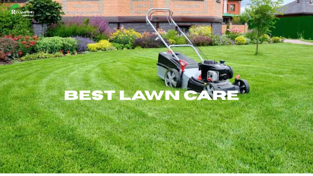Best Lawn Care Practices for Drought Conditions