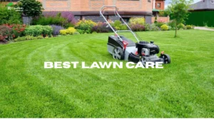Best Lawn Care Practices for Drought Conditions