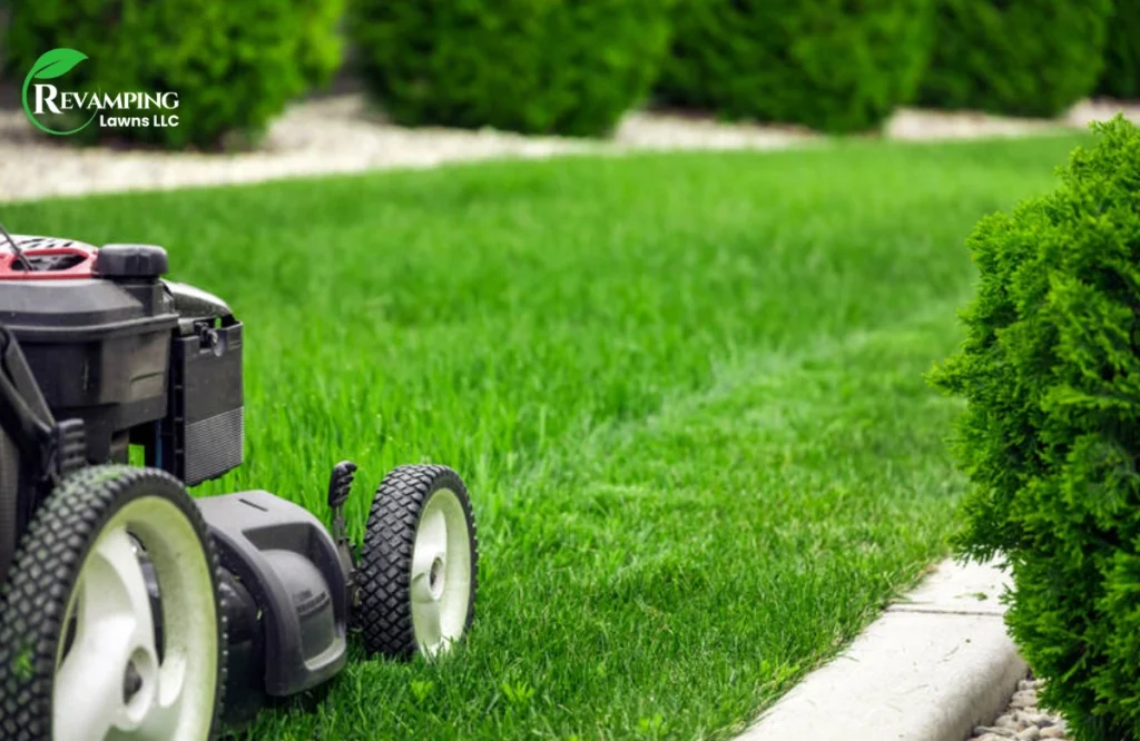Common Winter Lawn Care 