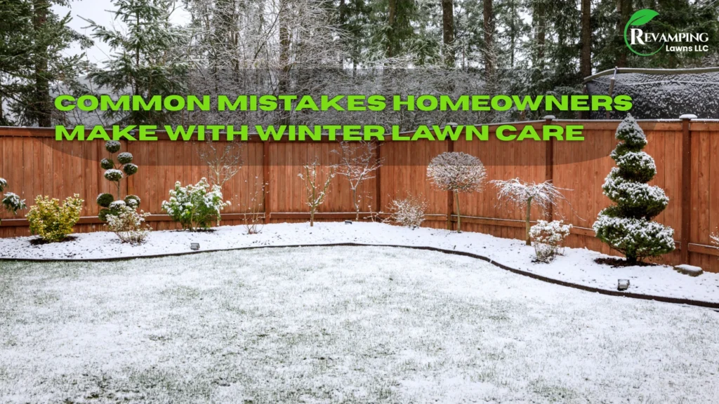 Common mistakes homeowners make with winter lawn care