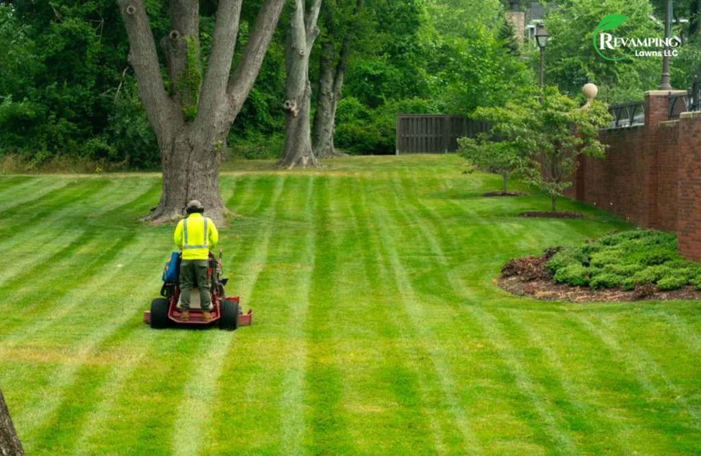 Importance of Proper Lawn Mowing Height