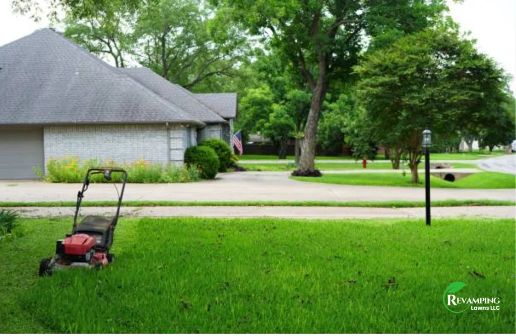 Lawn Mowing Height