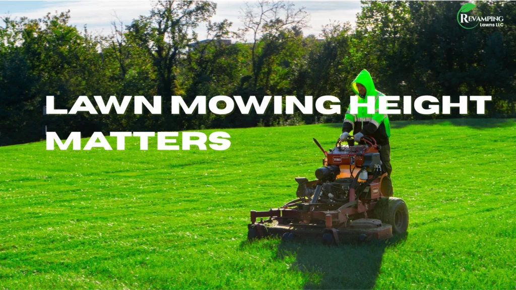 Lawn Mowing Height Matters