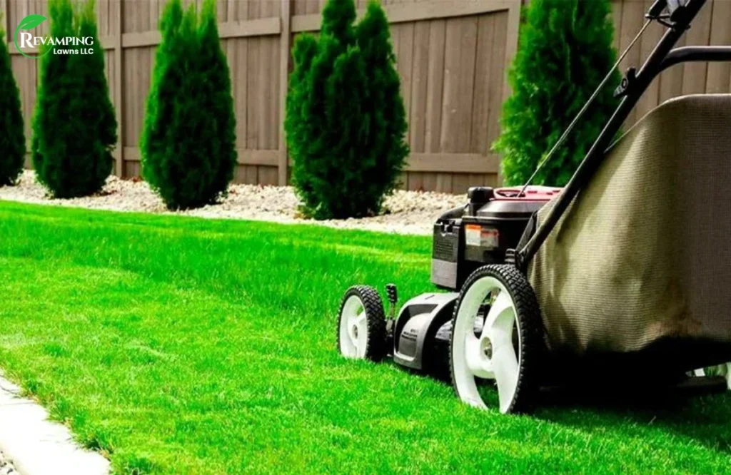 Natural Lawn Maintenance 