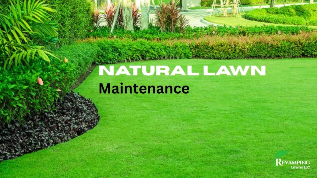 Natural Lawn Maintenance Tips Without Chemicals