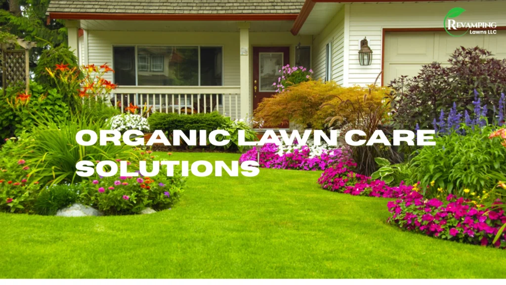 Organic Lawn Care Solutions for a Greener Lawn