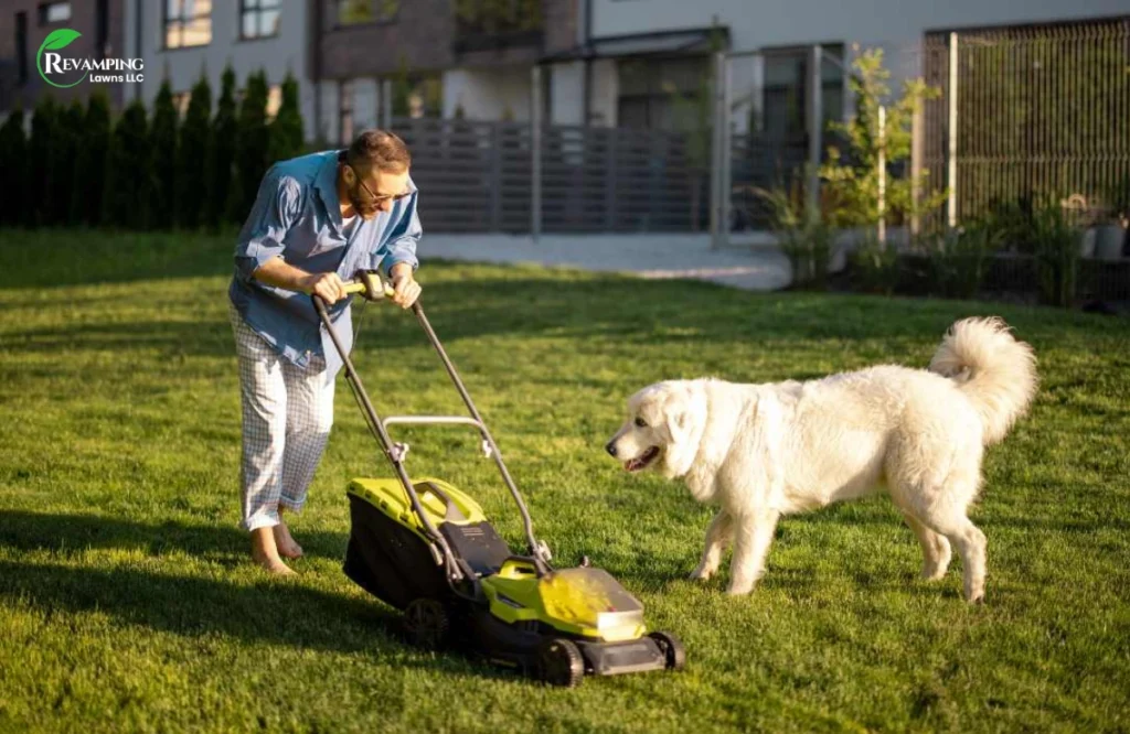 Pet-Safe Lawn Care