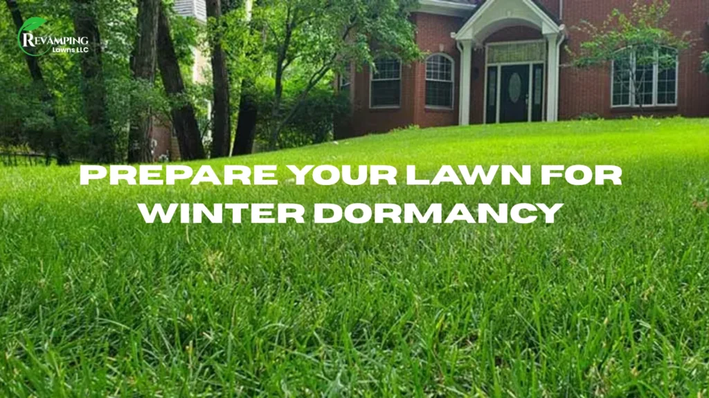 Prepare Your Lawn for Winter Dormancy