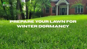 Prepare Your Lawn for Winter Dormancy