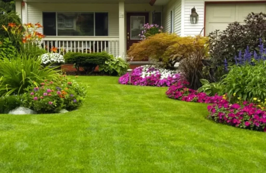 Top Ways to Decrease Lawn Damage from a Drought