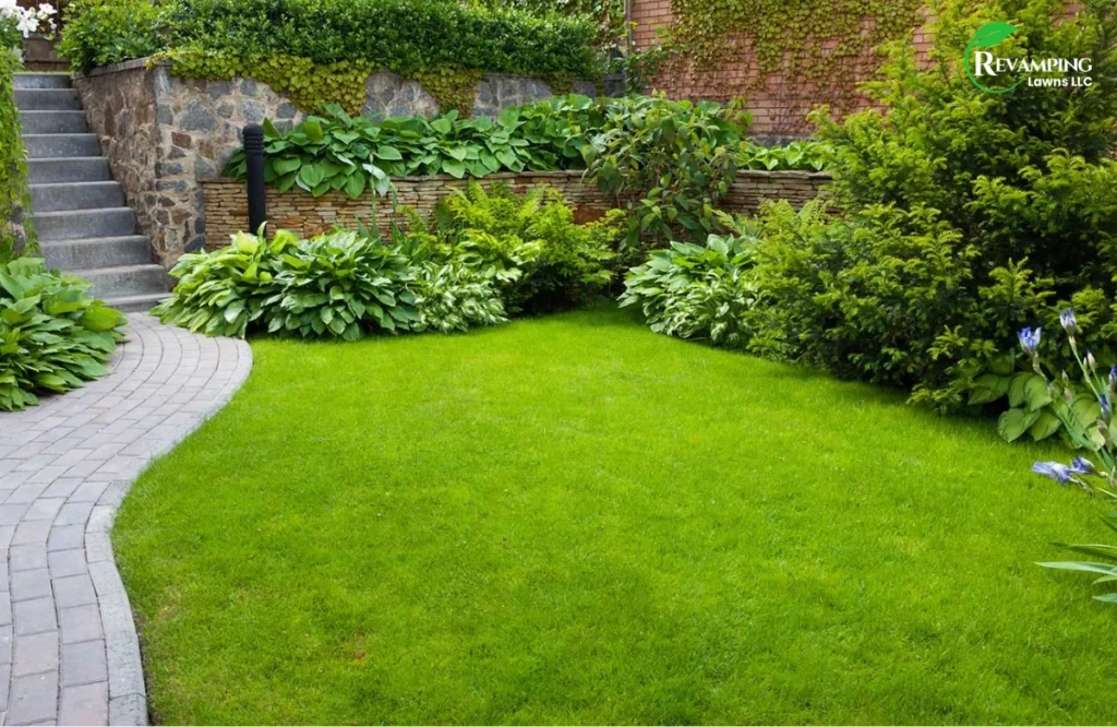 Why Choose Organic Lawn Care