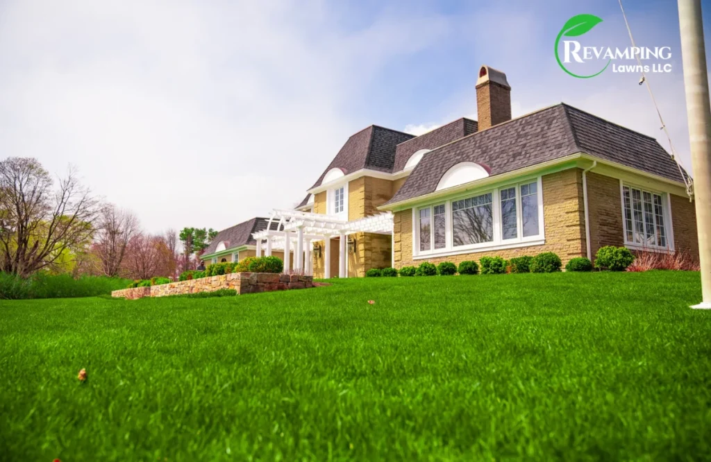 Why You Need to Improve Lawn Soil 