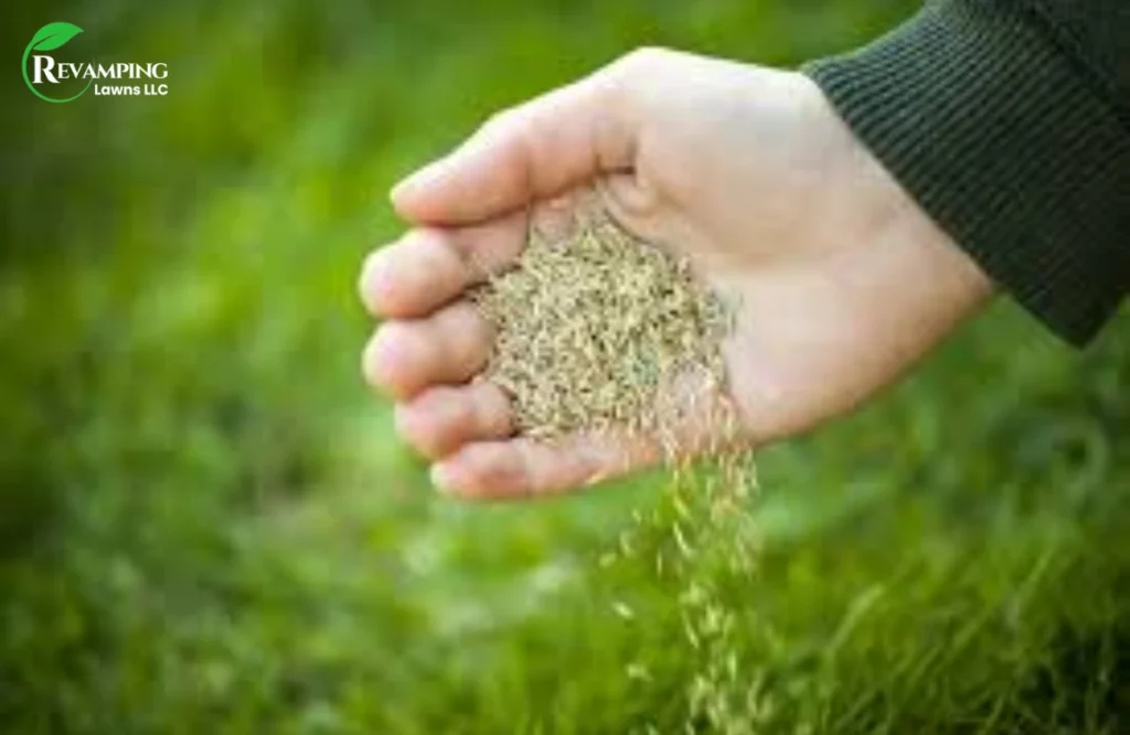 cold weather affects grass growth and soil health