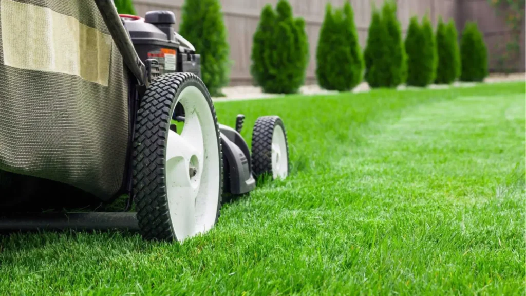 General Lawn Care