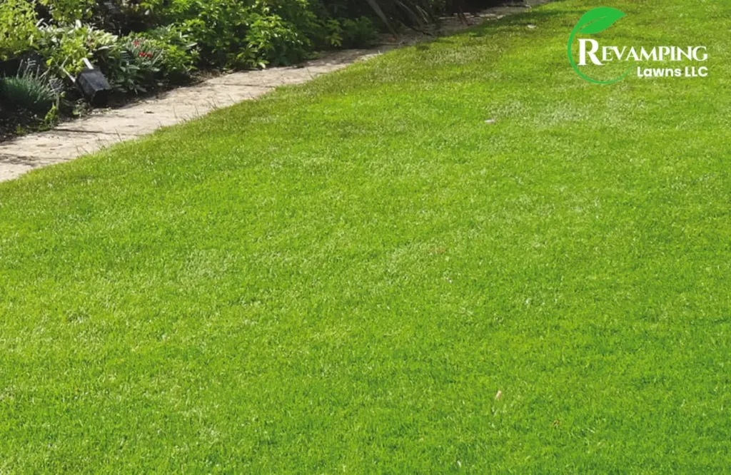 Leveling a Bumpy Lawn with Top Dressing