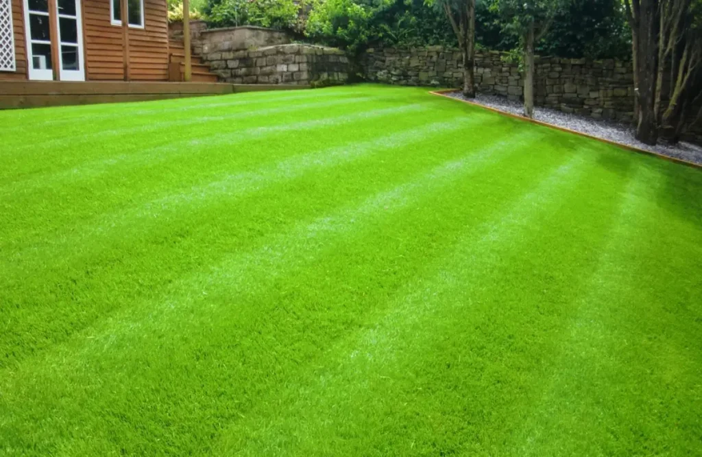 Why Quick Lawn Diagnosis Matters