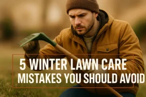 5 Winter Lawn Care Mistakes You Should Avoid