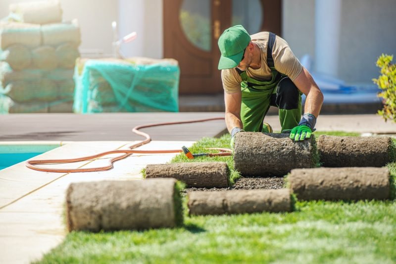 Best Top Dressing Services in Jacksonville |Revamping Lawn LLC.